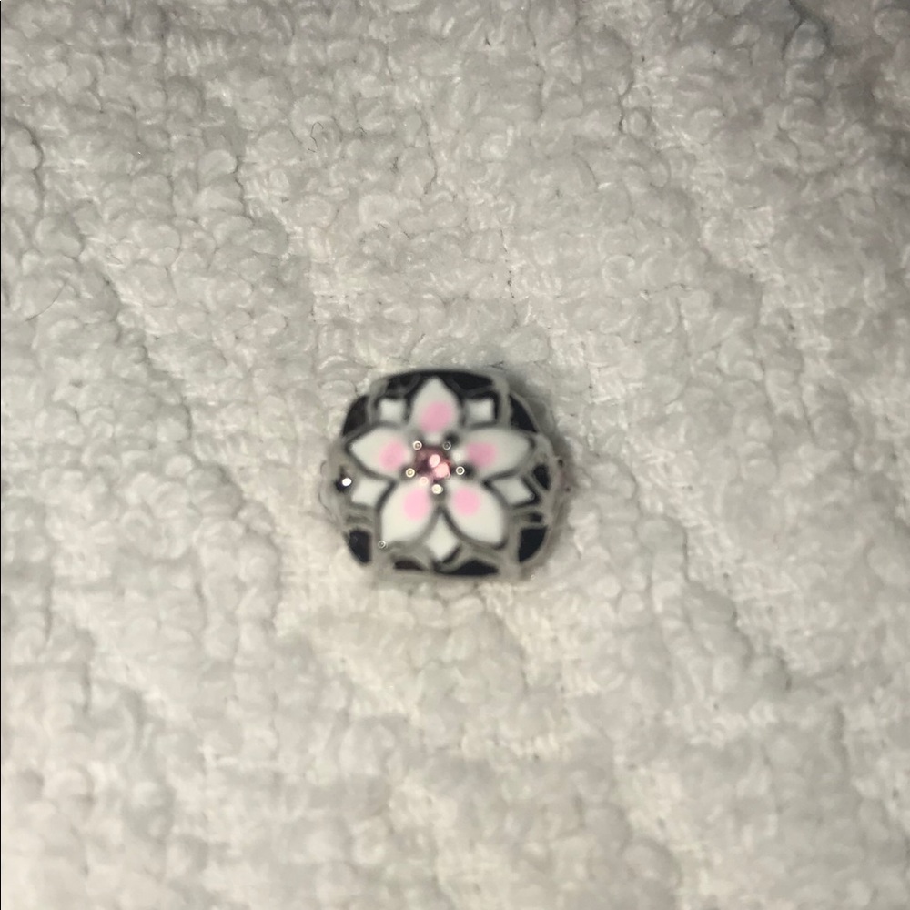 Bracelet or necklace charm
